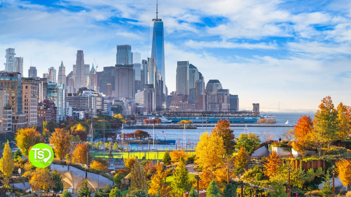 timeshare new york