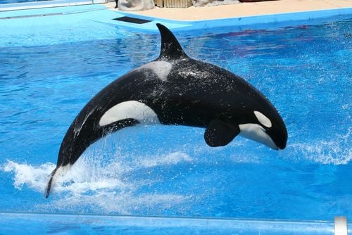 seaworld best theme parks in the world