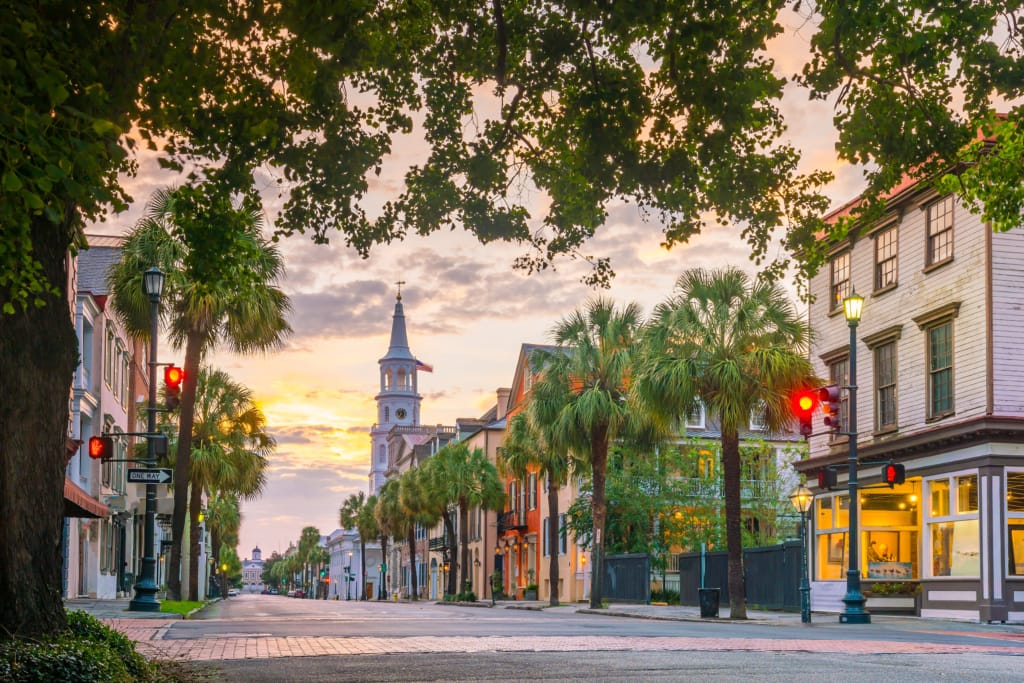 Palmetto trees and church steeple on a Charleston, South Carolina street