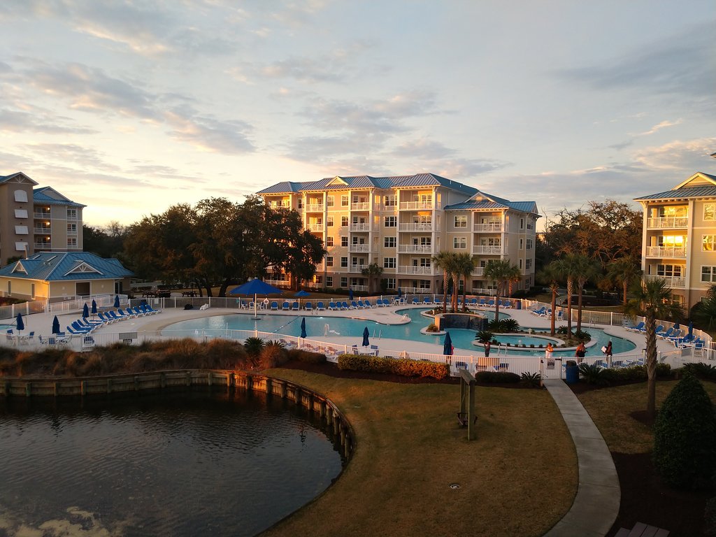 hilton head seafood