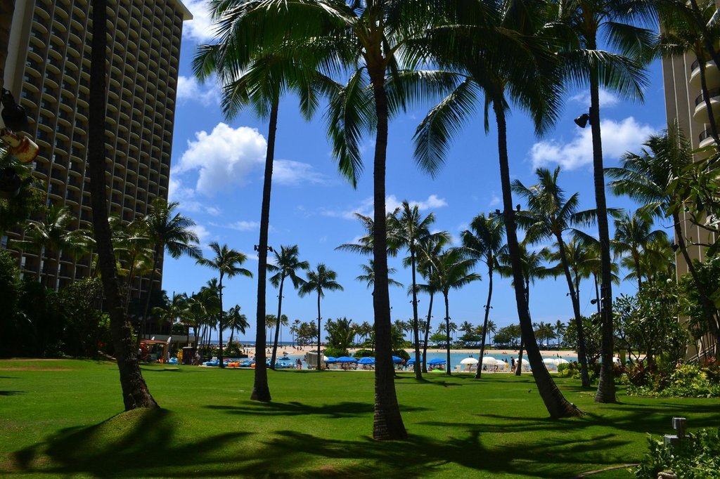 best surfing in hawaii