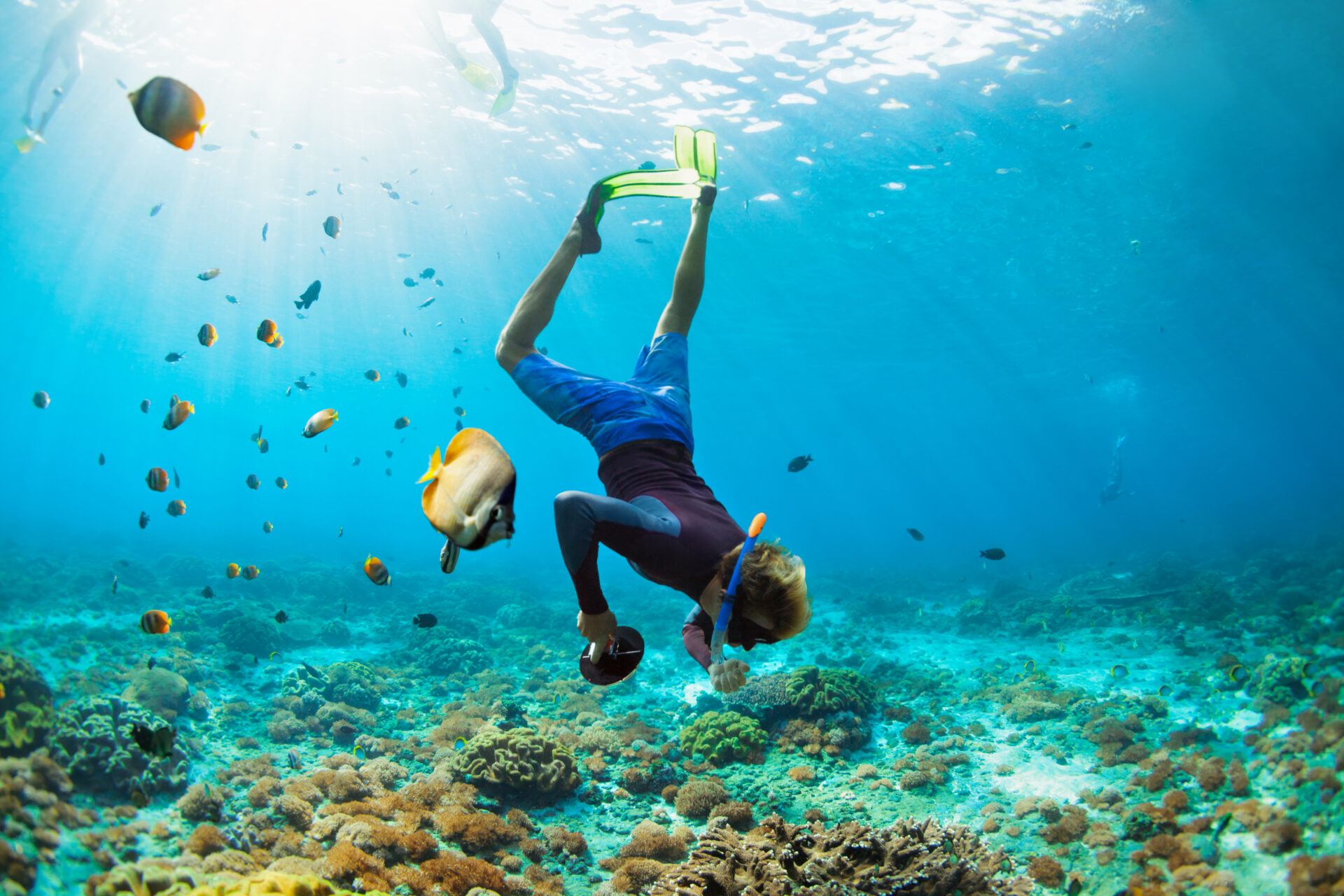 Go Snorkeling on Adventure Vacations
