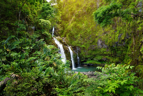 maui best waterfalls
