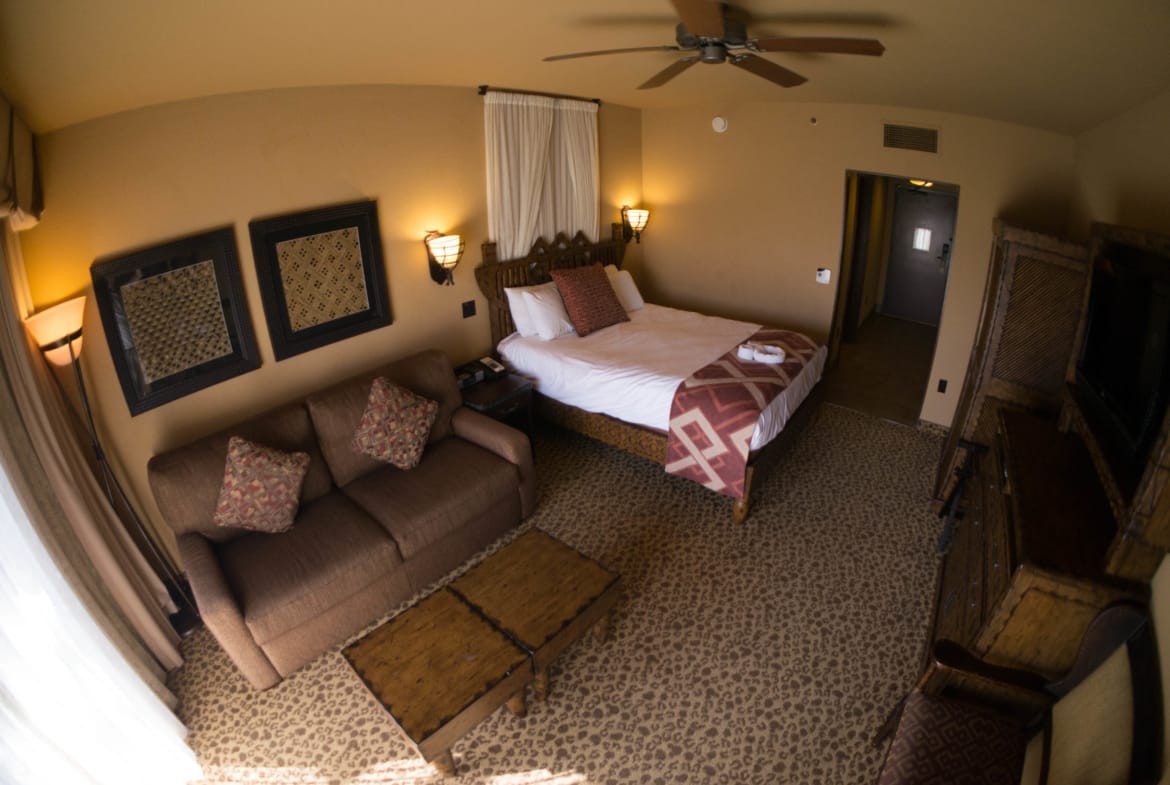 studio view of animal kingdom resort