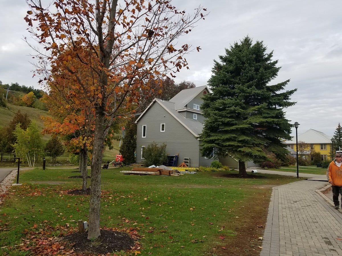 Calabogie Peaks Hotel
