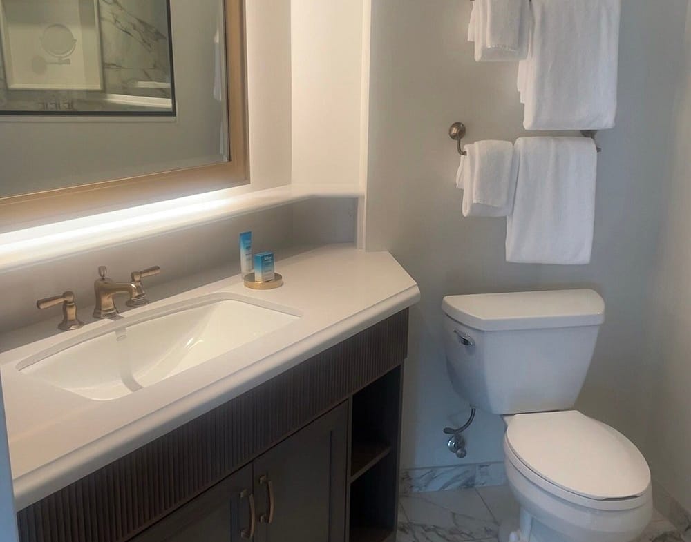 bathroom view of disney's riviera
