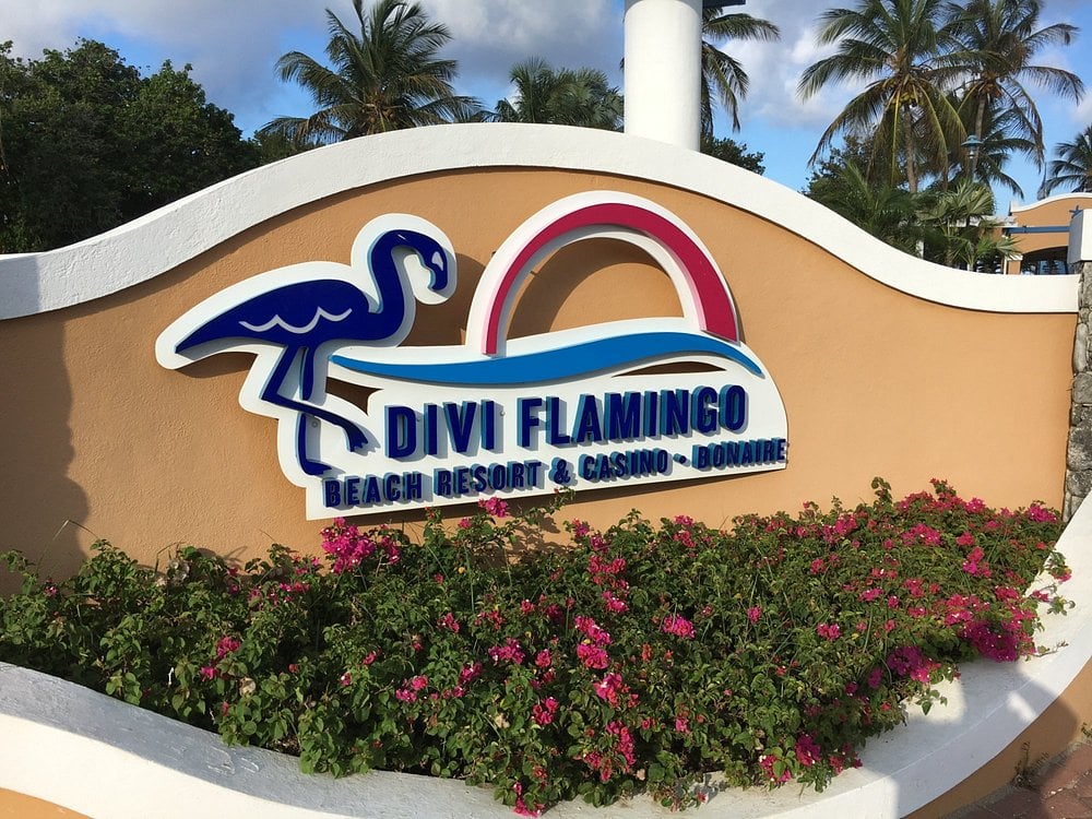 flamingo beach resort entrance