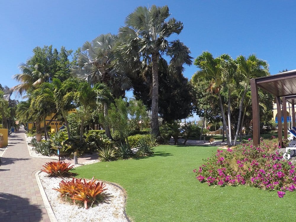 resort view of flamingo beach resort