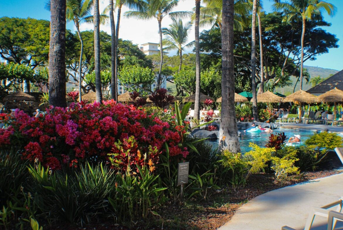 Marriott Ko Olina Beach Club Pool