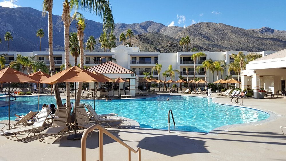 Pool Overview Of Palm Canyon