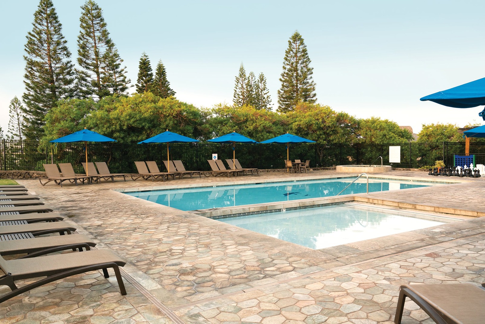 Paniolo Greens Pool