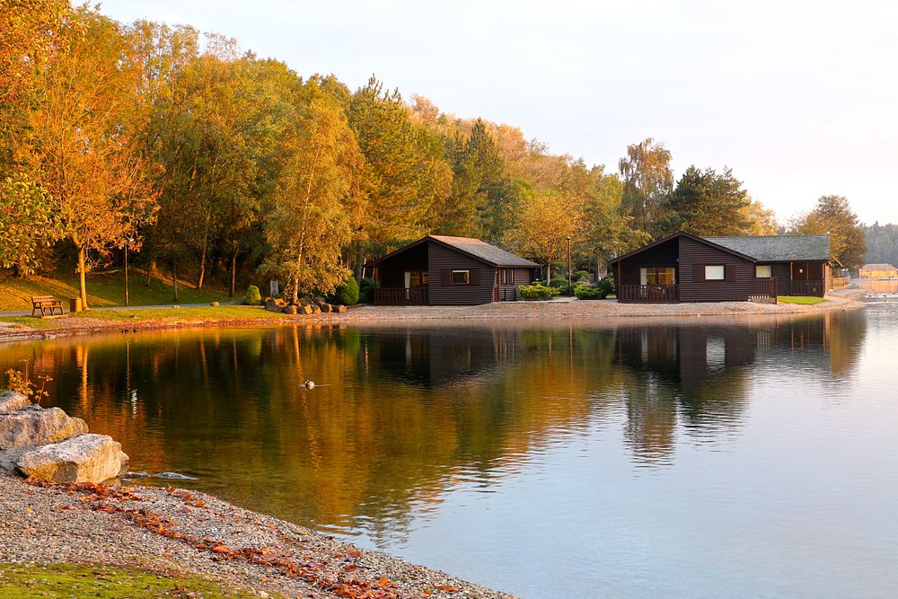 Pine Lake Resort Grounds