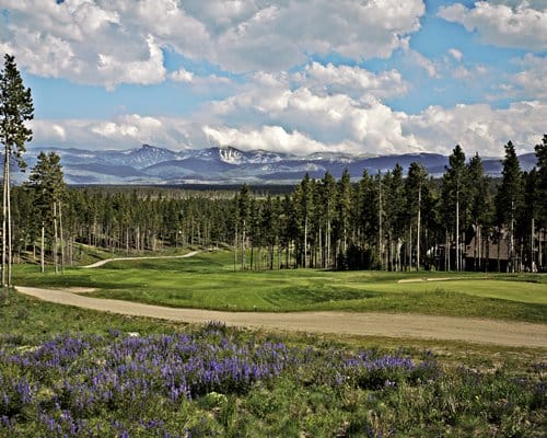 Pines at Meadow Ridge