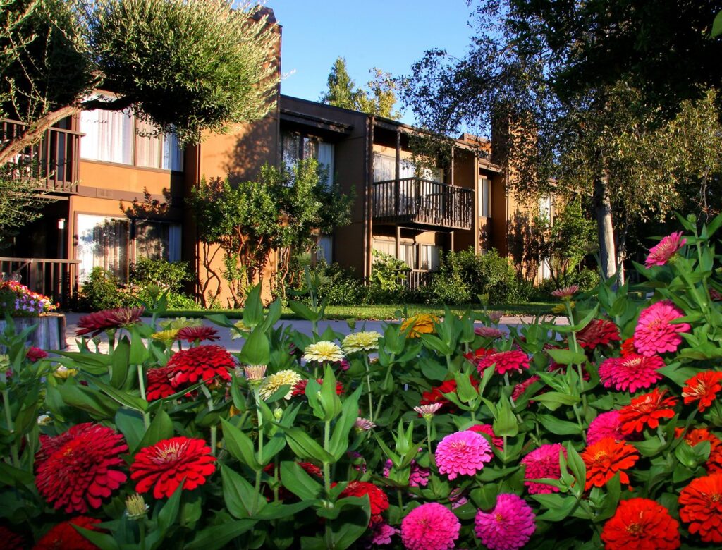 San Diego Country Estates