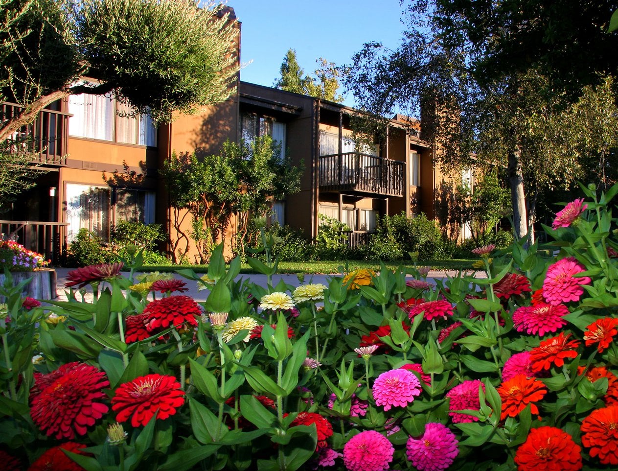 San Diego Country Estates