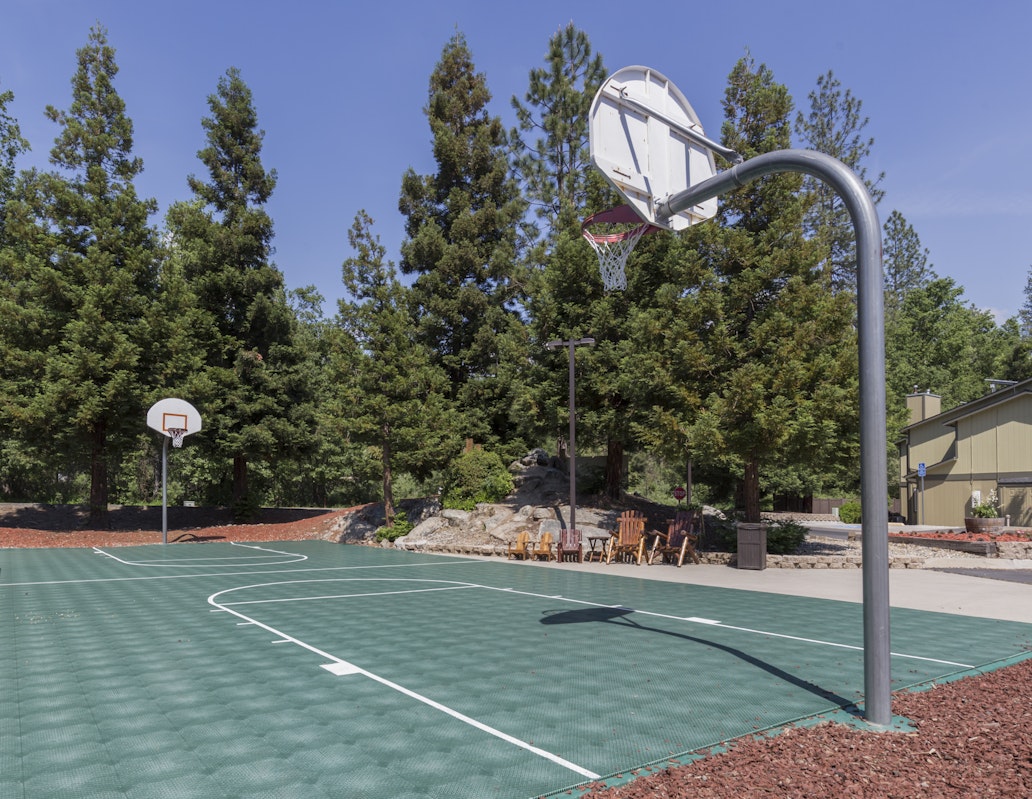 Basketball Court