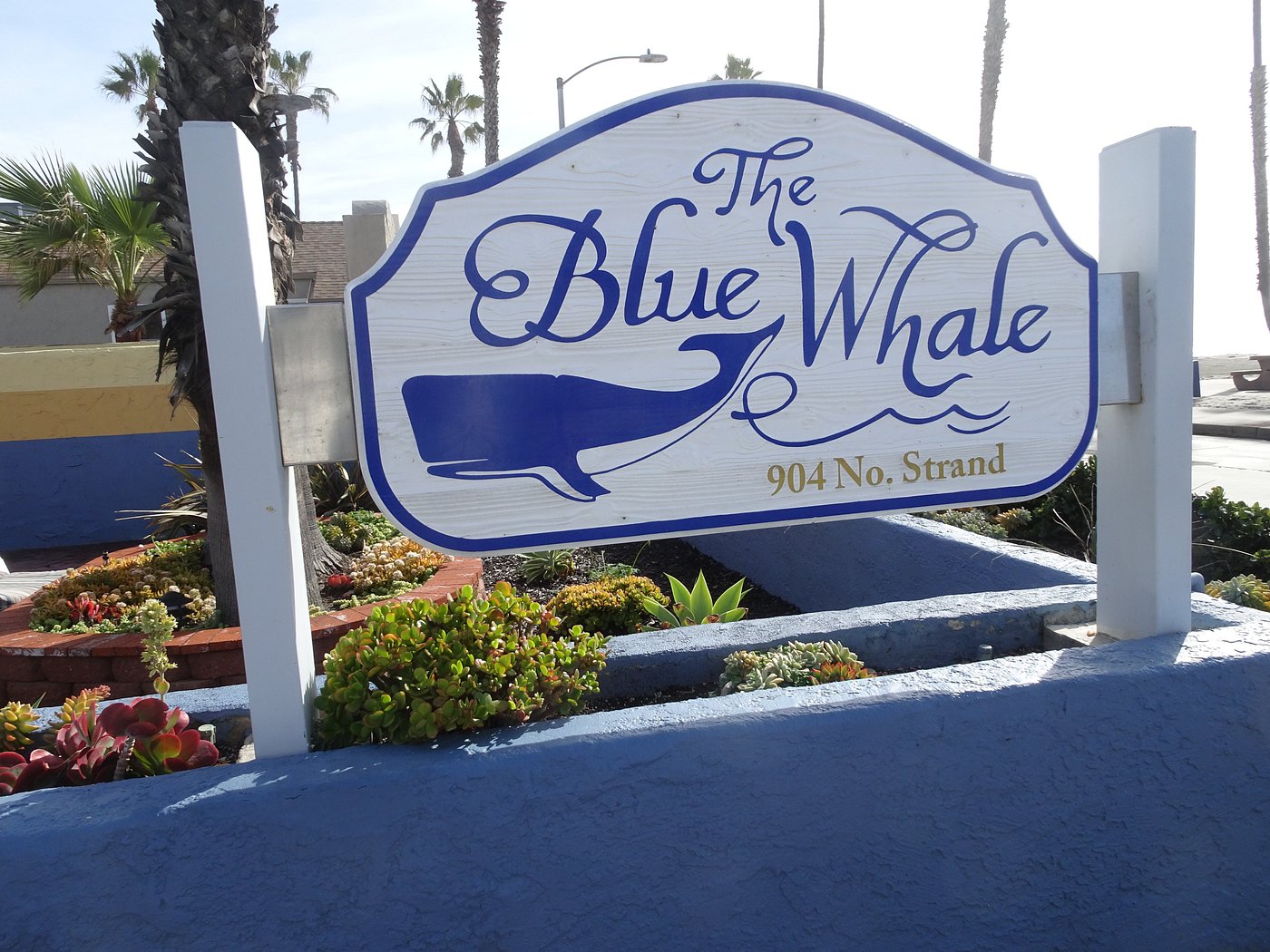 blue whale resort