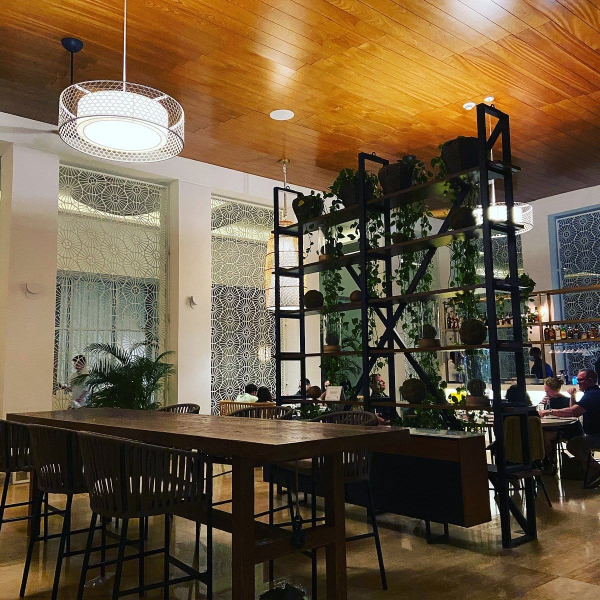 Circle at Paradisus Palma Real