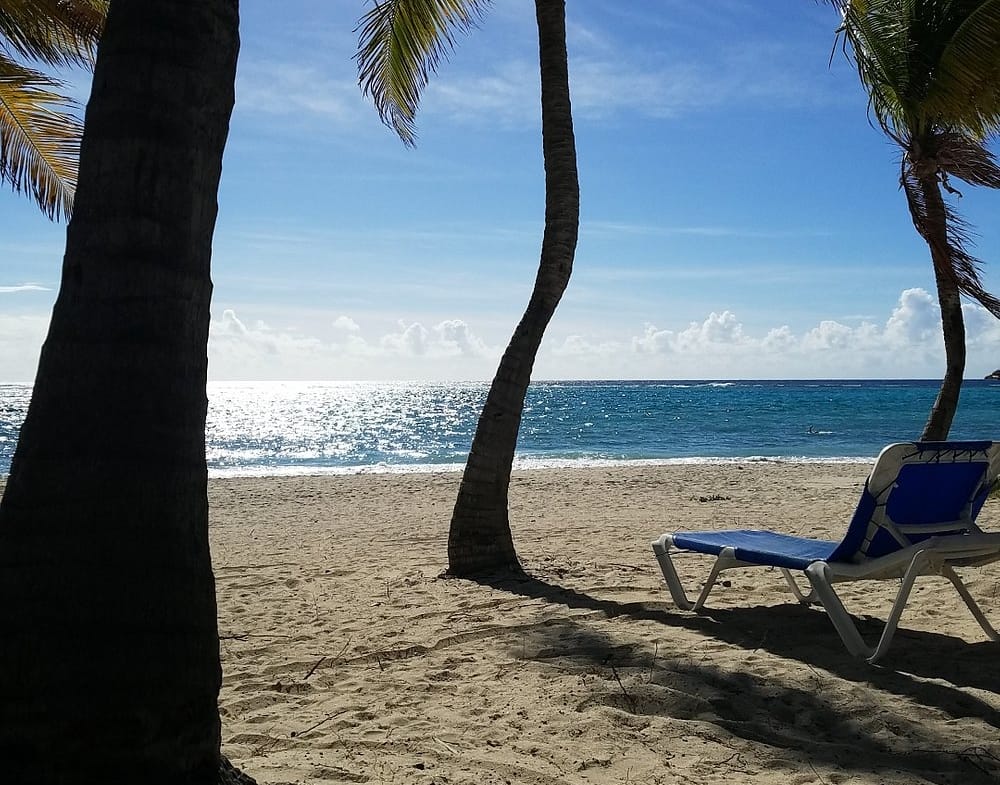 beach view at carina bay