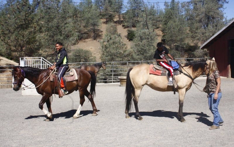 R Wild Horse Ranch