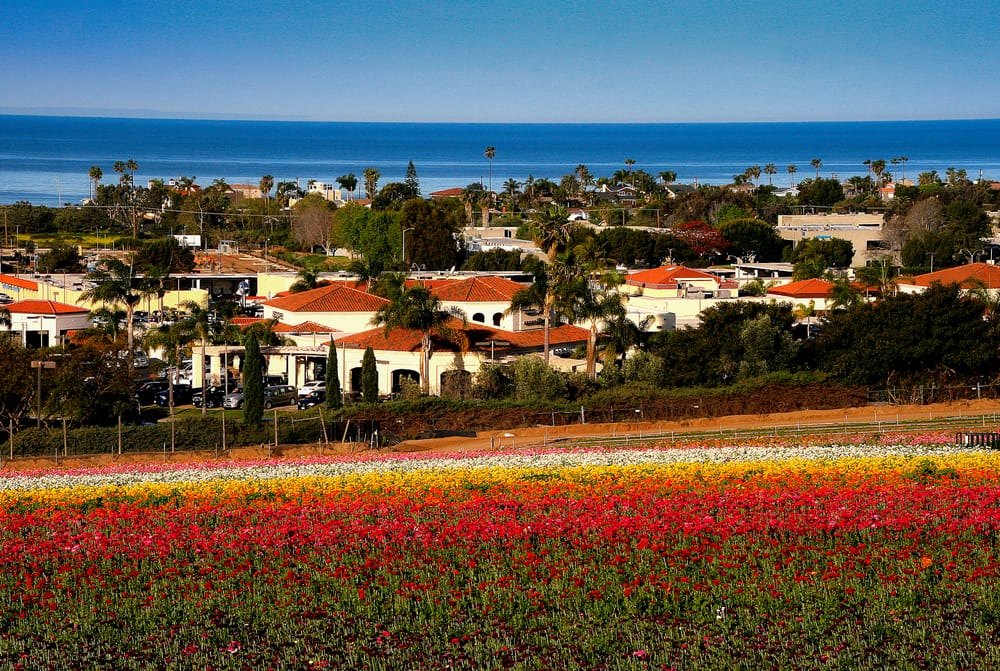 Carlsbad Inn