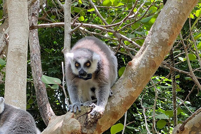 Bermuda Aquarium Museum and Zoo