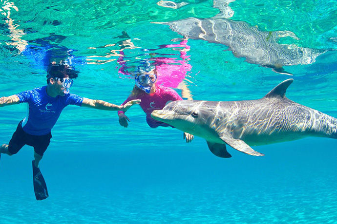 Dolphin Cay Bahamas