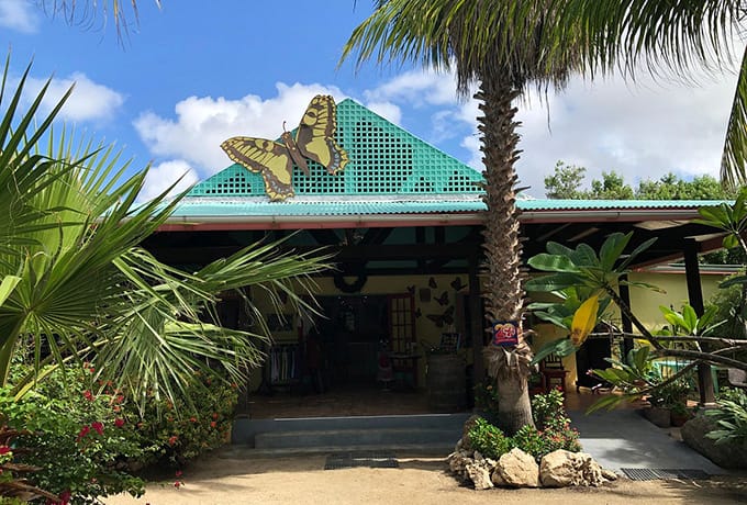 The Butterfly Farm Aruba