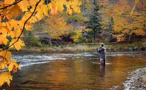 big bear fishing