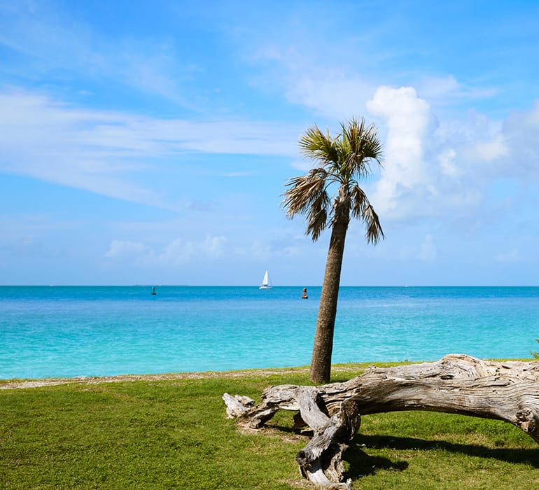 Key West Timeshare Timeshares For Sale Rent Timeshares Only