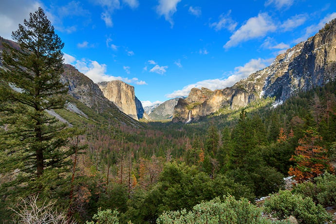 California Yosemite