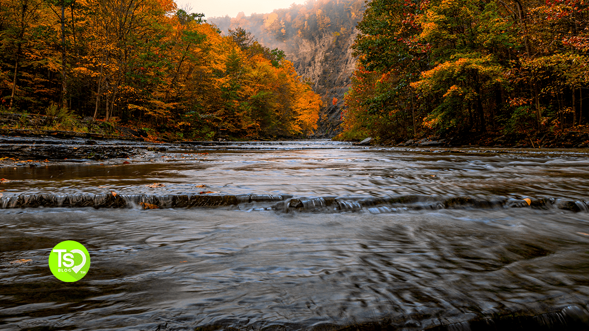 finger lakes