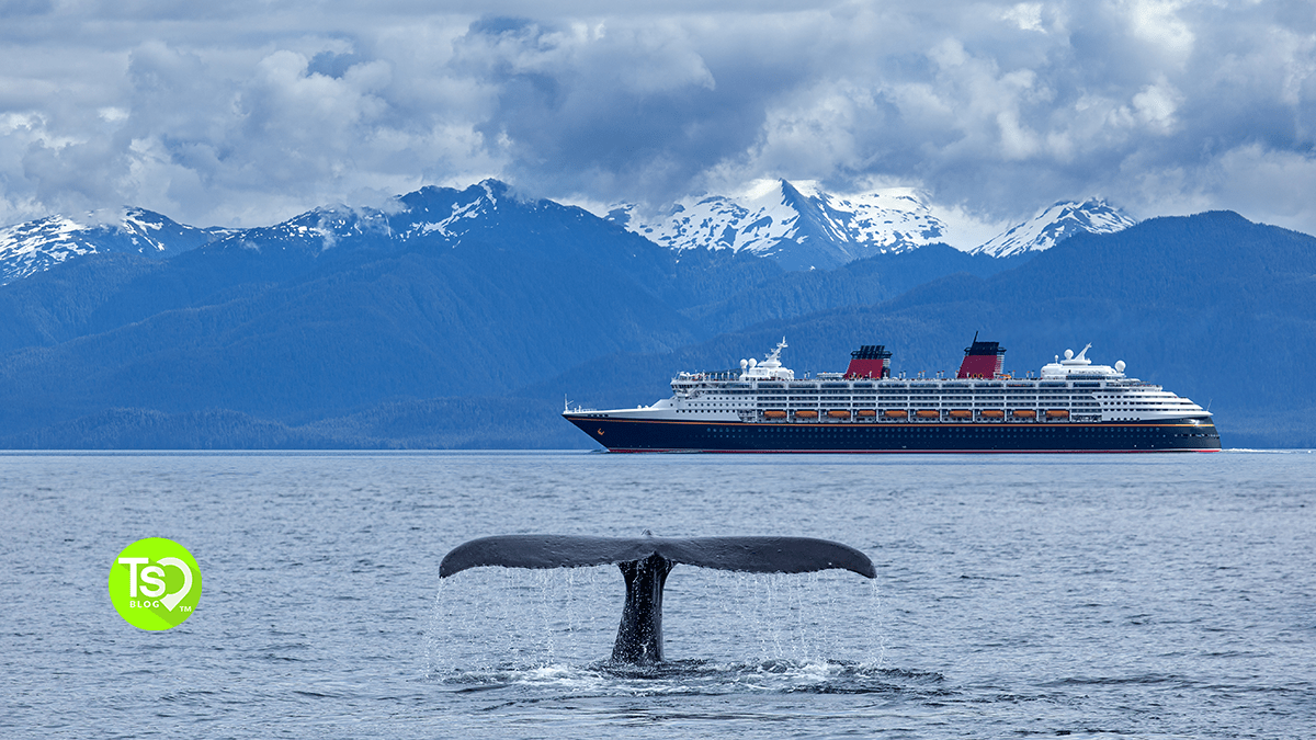 alaskan cruises