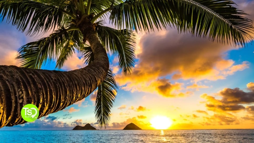 Best Interval International Resorts in Hawaii Timeshares Only