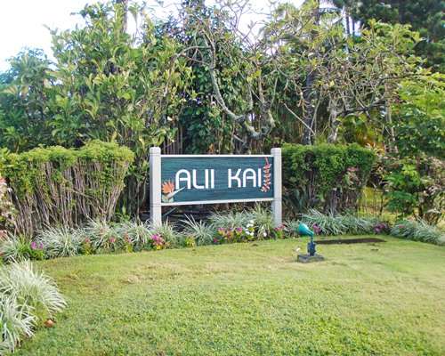 Ali Kai