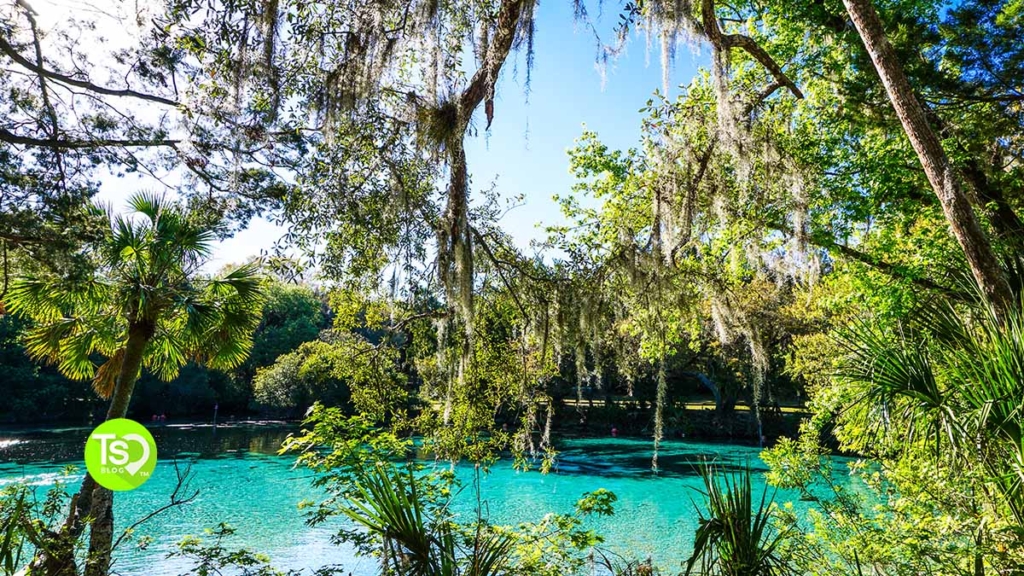 silver springs state park