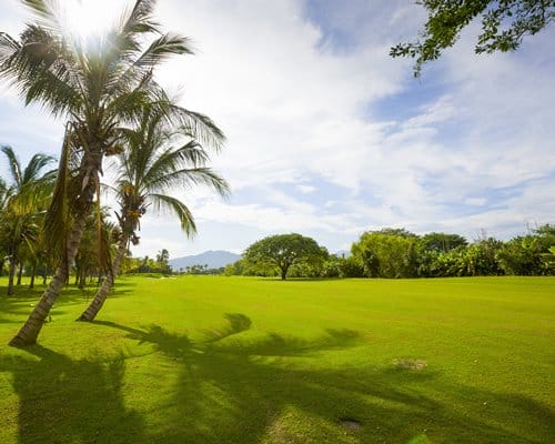 Imperial Jungle Aqua Vidanta Nuevo Vallarta