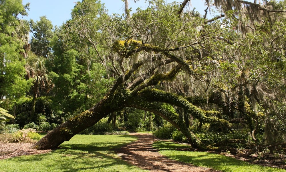 Bok Tower Gardens