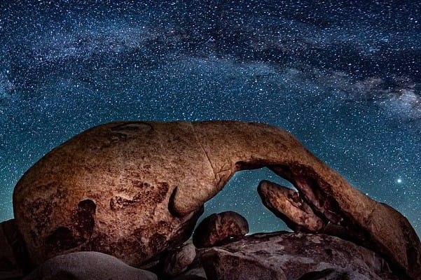 Joshua Tree