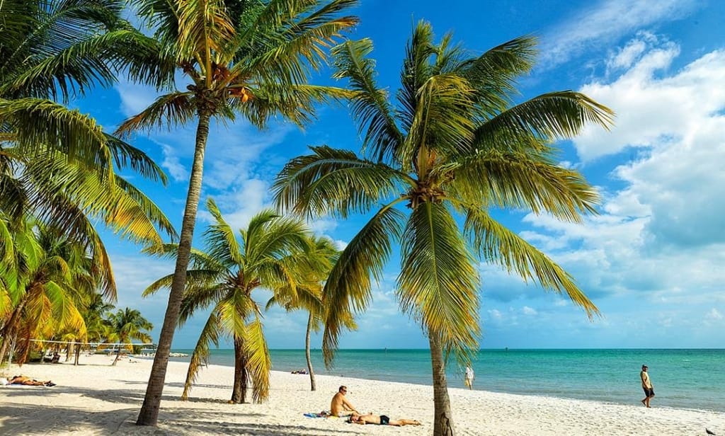Palm trees on a Key West beach, one of the warm getaways in the U.S.