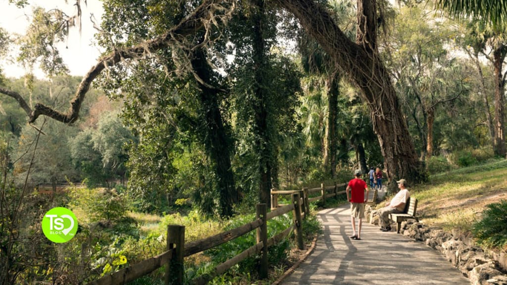 hiking in florida