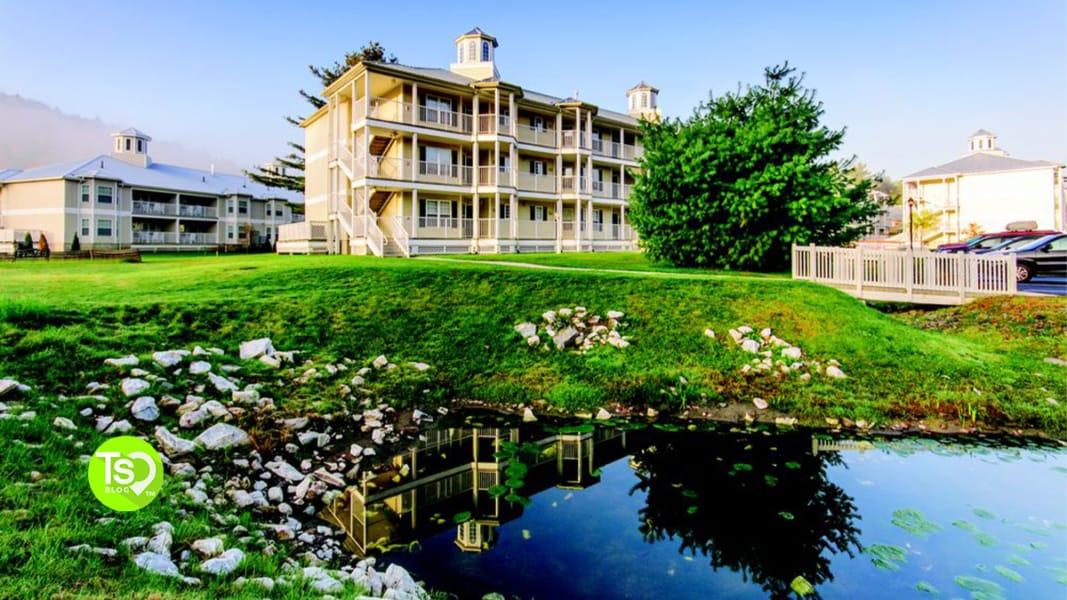 All You Need to Know About Silverleaf Resorts Timeshares Only