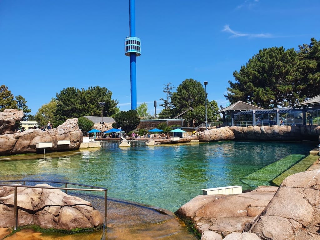 Enjoy Thrilling rides at Seaworld San Diego