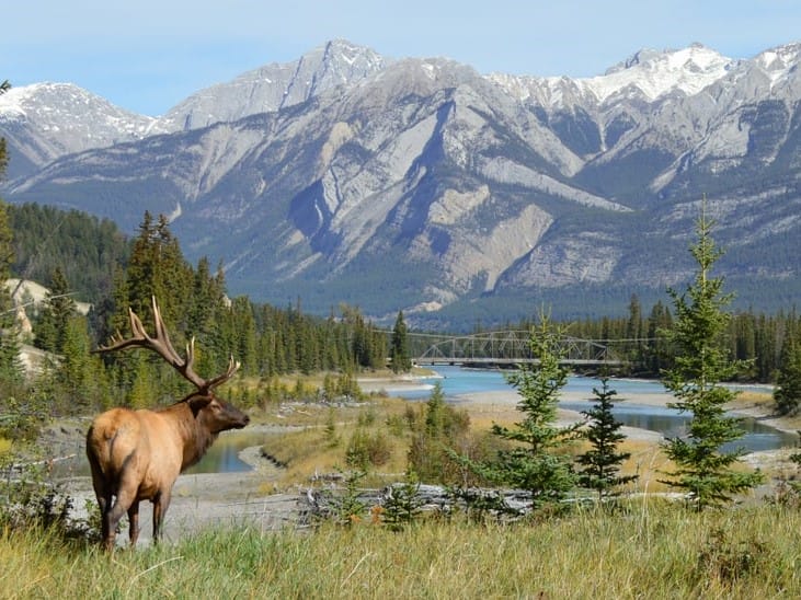 canada summer travel