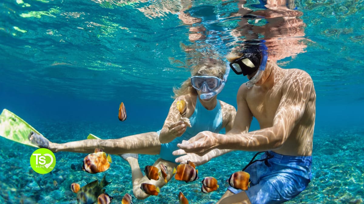 Best Snorkeling in the Caribbean