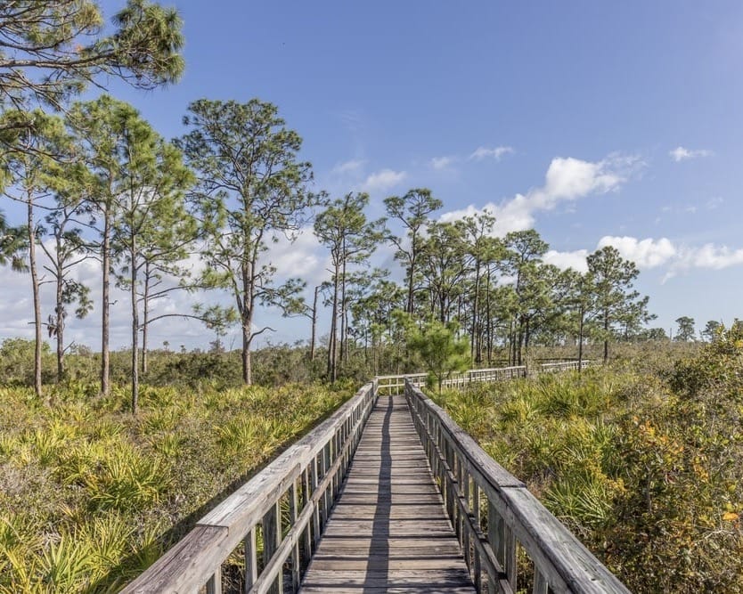 Briggs Boardwalk Nature Center