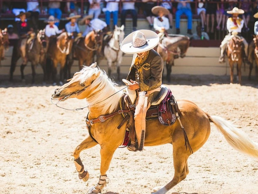 San Antonio Celebration