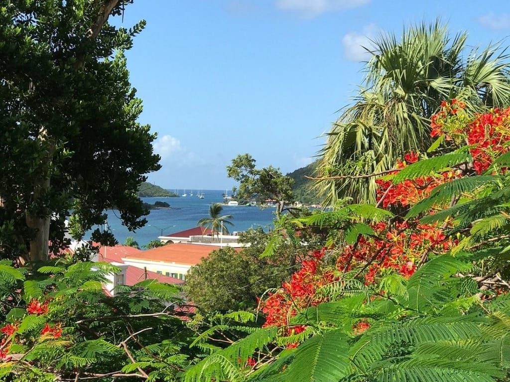 Go Up the 99 Steps, an Iconic Landmark in St. Thomas