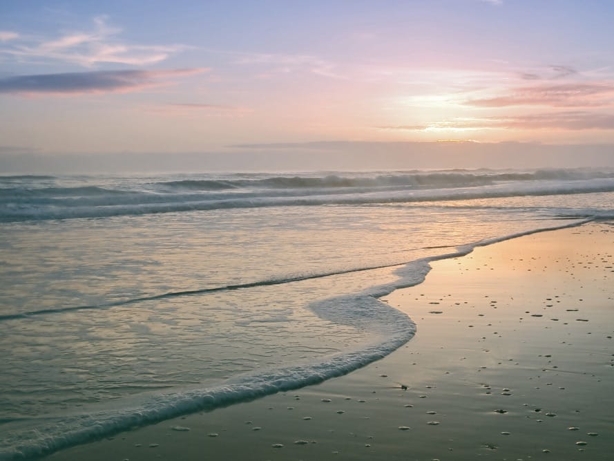 Canaveral National Seashore