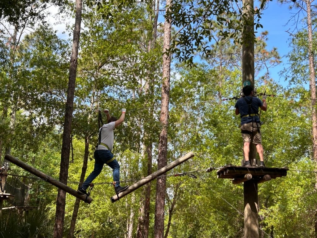 Tree Trek